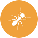 icon (1).png