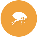 icon (2).png